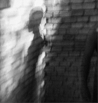 Whispering Waterfalls