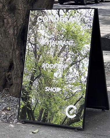 Panda Embracing Bamboo